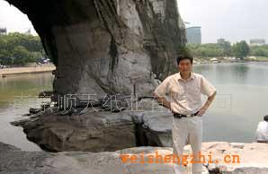 供應(yīng)無(wú)塑清潔膠帶用離型紙