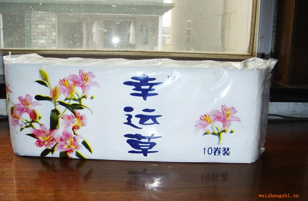 幸運(yùn)草