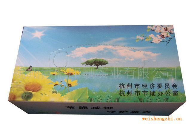 杭州嵩陽(yáng)大量供應(yīng)車用紙巾盒紙巾