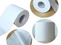 江西省生活用紙專業(yè)委員會(huì)成立并揭牌