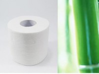 2018年四川江門20萬(wàn)噸竹漿項(xiàng)目將建成