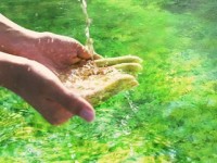 河北張家口市重拳防治工業(yè)企業(yè)水污染