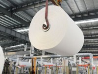 廣東東莞53家造紙企業(yè)已停產(chǎn)關(guān)閉