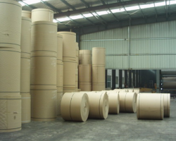 淮河流域可建造紙廠(chǎng)？