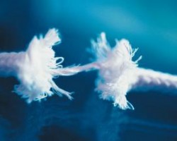 《全球造紙工業(yè)報告》：全球造紙業(yè)轉(zhuǎn)型危與機(jī)