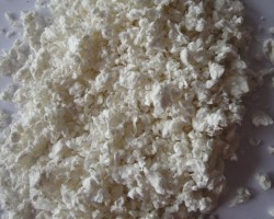 林、漿、紙的一次擁抱