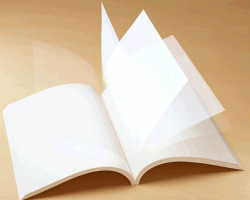 岳陽林紙致力打造高端紙