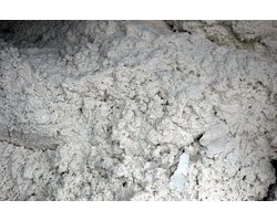 全球大的紙漿廠有望投產(chǎn)，紙漿上漲或得到緩解