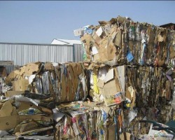 雙十一后拾荒周