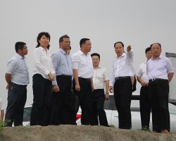 東海島:中央商務(wù)區(qū)下月掛牌 白卡紙項目月底動工