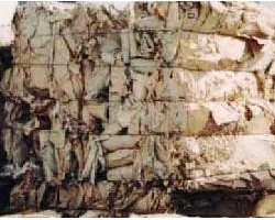 包裝紙箱生產(chǎn)達到高峰 廢紙回收利用行業(yè)也掀起浪潮