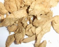 竹漿造紙將是未來造紙主要趨勢(shì)