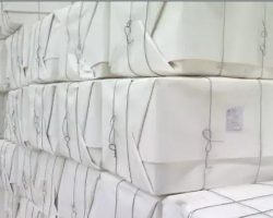 影響衛(wèi)生紙的因素---紙漿