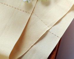 本色衛(wèi)生紙占領(lǐng)市場