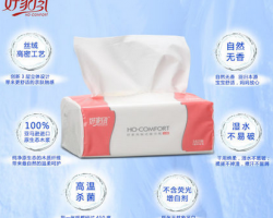 廣東比倫生活用紙有限公司