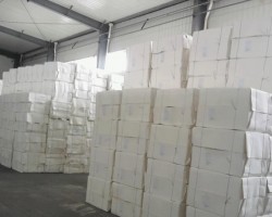 亞洲紙漿參加世界經(jīng)濟論壇