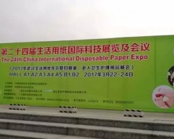 CIDPEX2017武漢生活用紙年會(huì)開幕