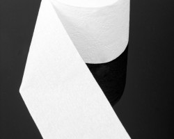 衛(wèi)生紙?jiān)谏钪械淖饔? onerror=