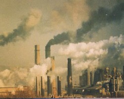 駿泰漿紙因排放問題連夜被查