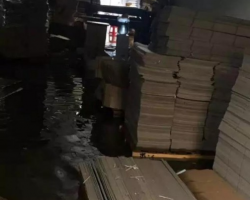 廣州暴雨突然來襲，紙品廠措手不及