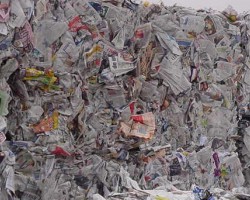 繼福建之后，海南廢紙價(jià)格也上漲！