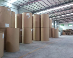 武功東方紙業(yè)投資3.8億項目竣工