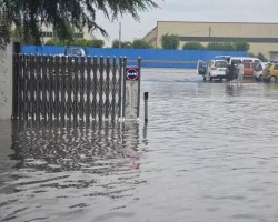 暴雨來(lái)襲，紙板紙箱如何存放？