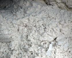 我國已成為世界上大的原生紙漿進(jìn)口國