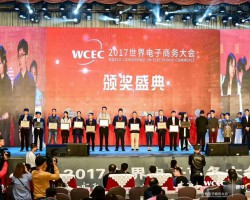 熱烈祝賀中國生活用紙網(wǎng)榮獲“2017中國電子商務(wù)行業(yè)百強(qiáng)”獎(jiǎng)