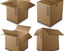 年產(chǎn)1.2億平方米高檔紙箱項目已通過！