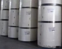 什么是絨毛漿？