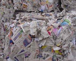 無廢紙時代的中國造紙