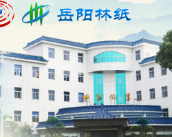 喜報！岳陽林紙半年報預增248%-273%