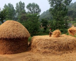 衛(wèi)生紙的生產(chǎn)原料有哪些
