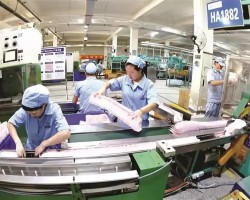 打造千億級生活用紙航母 3年后這個(gè)“中華紙都”紙品產(chǎn)能將突破350萬噸