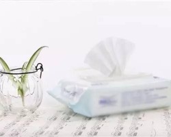 濕巾的專業(yè)分類