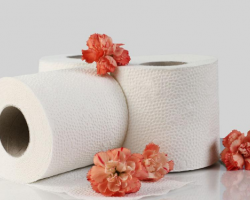 衛(wèi)生紙的使用安全性主要看兩個(gè)方面