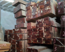 11月1日起，中國木材產(chǎn)品進(jìn)口關(guān)稅降至5.4%