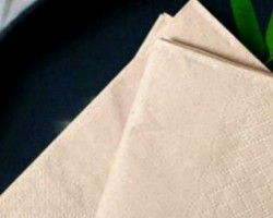 什么是本色木漿生活用紙?