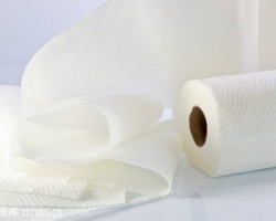 哪些地方不能用衛(wèi)生紙？