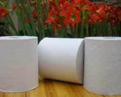 衛(wèi)生紙安全生產(chǎn)重要