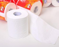 衛(wèi)生紙中的纖維成分如何辨別？
