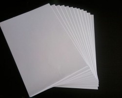 紙業(yè)股幾近全線受壓 理文造紙績前再跌2%