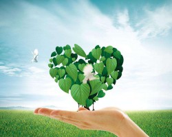 唐山市對(duì)摸排出的“散亂污”企業(yè)一律先停后治