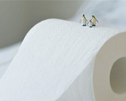 購(gòu)買衛(wèi)生紙應(yīng)該避免那些誤區(qū)！