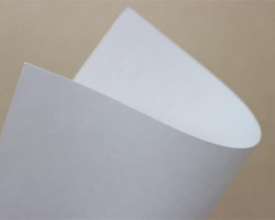 全產(chǎn)業(yè)鏈布局顯露威力，山鷹紙業(yè)上半年表現(xiàn)上佳