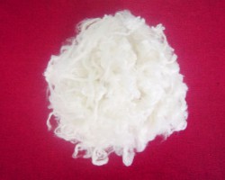 巴西木材纖維價(jià)格下滑