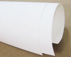 成本居高不下 紙業(yè)龍頭齊漲價(jià)