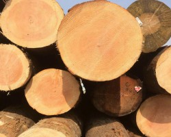 第2批17家“中國(guó)森林認(rèn)證—產(chǎn)銷監(jiān)管鏈?zhǔn)痉叮ㄔ圏c(diǎn)）” 木竹企業(yè)獲得認(rèn)證證書