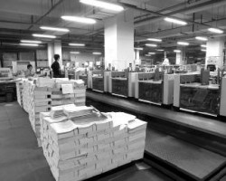 2019年1-11月中國(guó)紙及紙板進(jìn)口量為549萬(wàn)噸